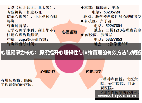 心理健康为核心：探索提升心理韧性与情绪管理的有效方法与策略